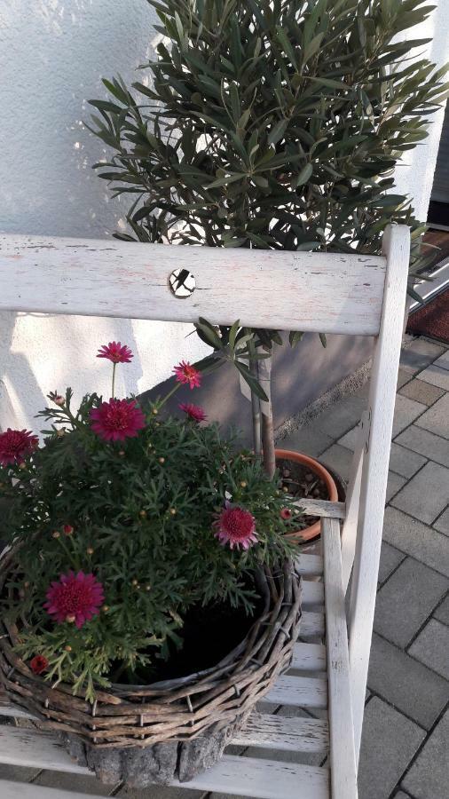 Ferienwohnung Sayntalblick Caan Exteriör bild