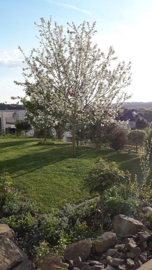 Ferienwohnung Sayntalblick Caan Exteriör bild
